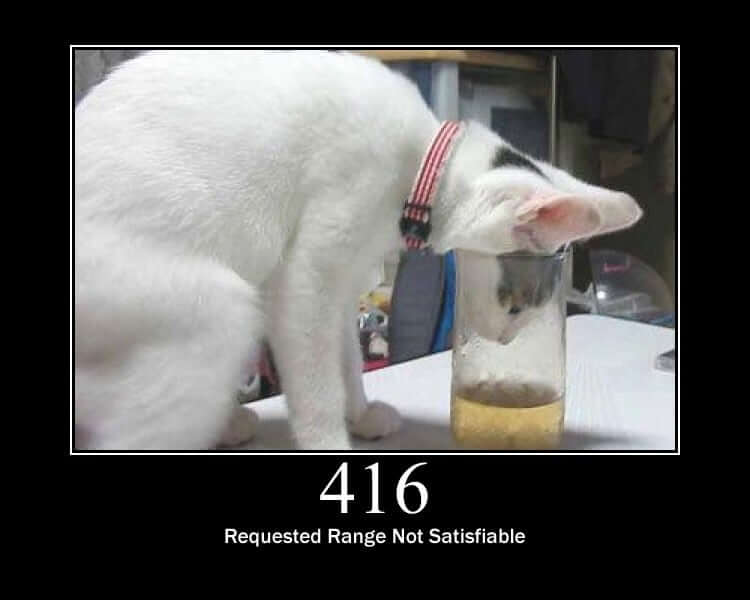 HTTP Status Cat 416