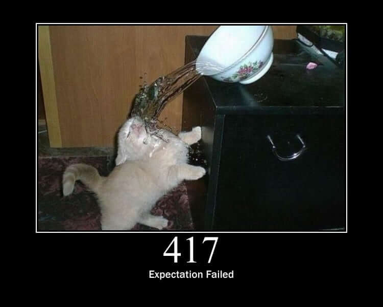 HTTP Status Cat 417