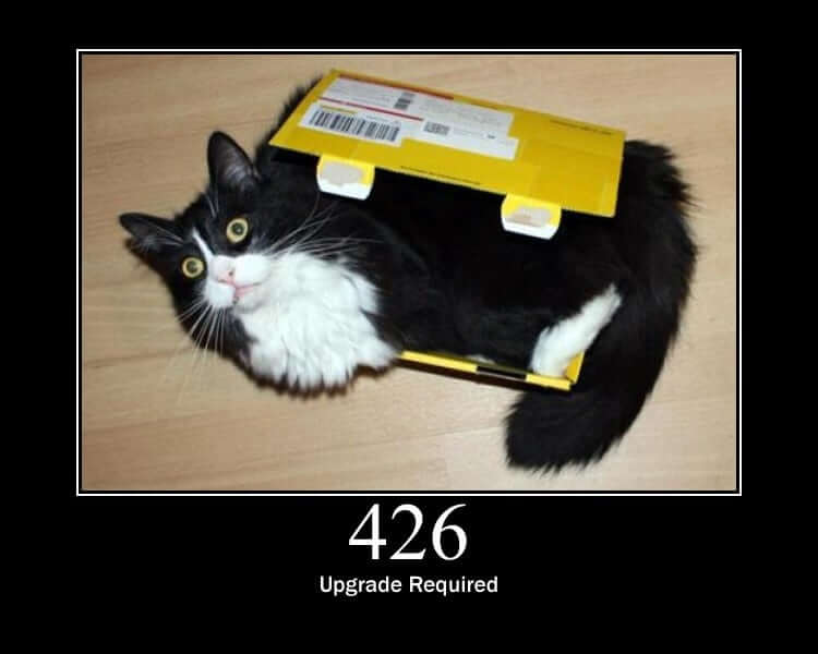 HTTP Status Cat 426