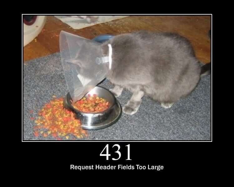 HTTP Status Cat 431