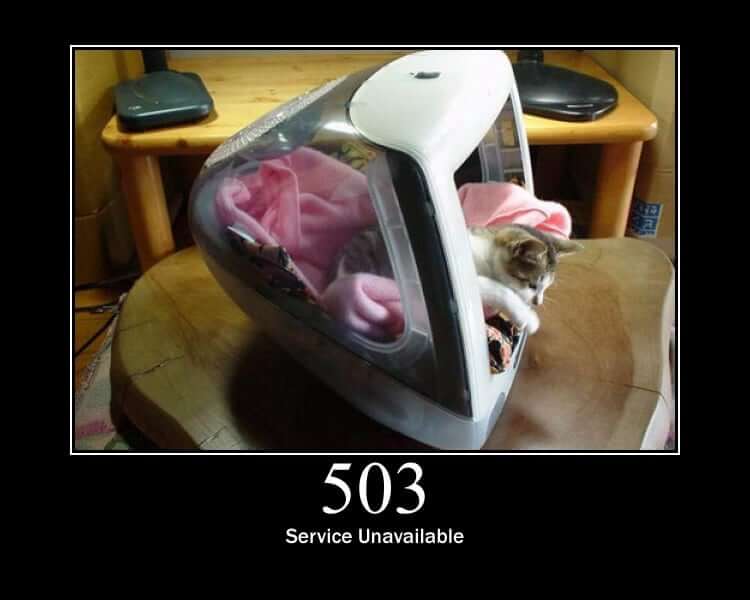 HTTP Status Cat 503