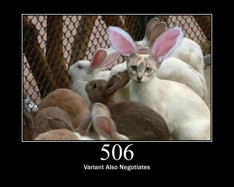 HTTP Status Cat 506