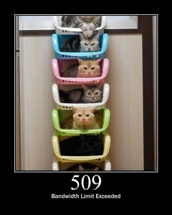 HTTP Status Cat 509