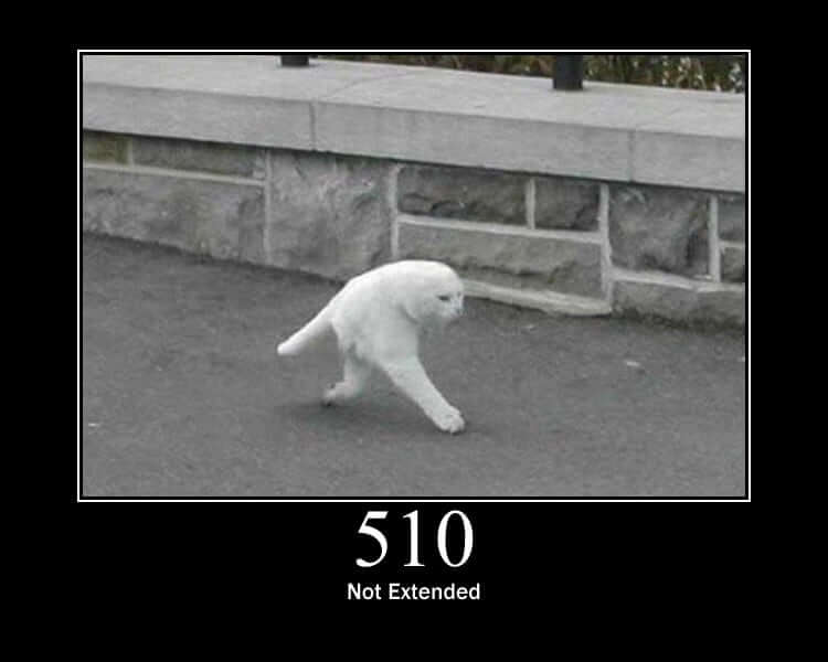 HTTP Status Cat 510