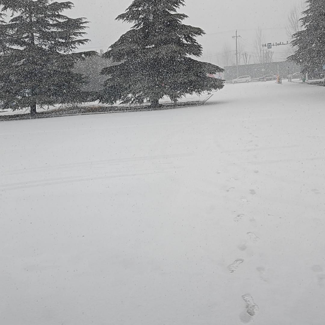 wdstart Farcaster social identity (Fname handle) PFP