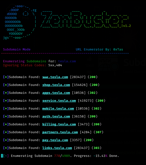 ZenBuster Subdomain Mode ZenBuster