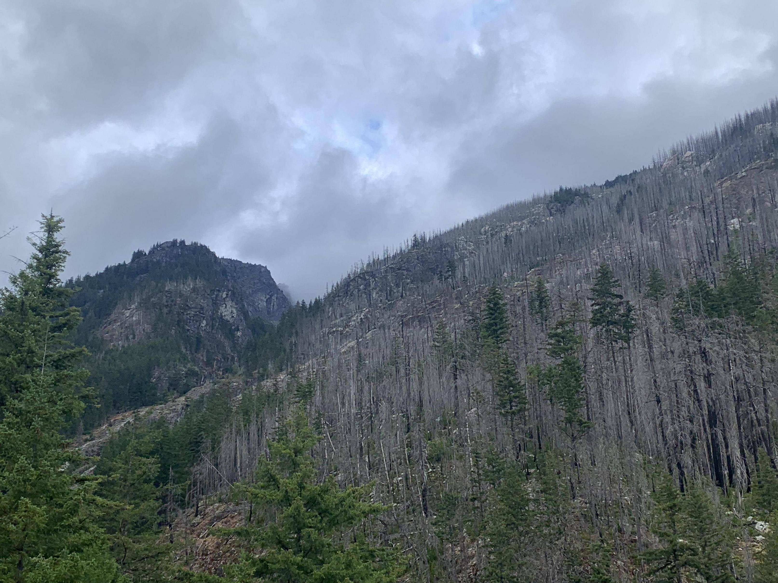 test acc (test-account) Farcaster social identity (Fname handle) PFP