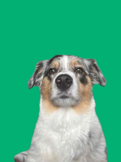 Dillon (dilly) Farcaster social identity (Fname handle) PFP