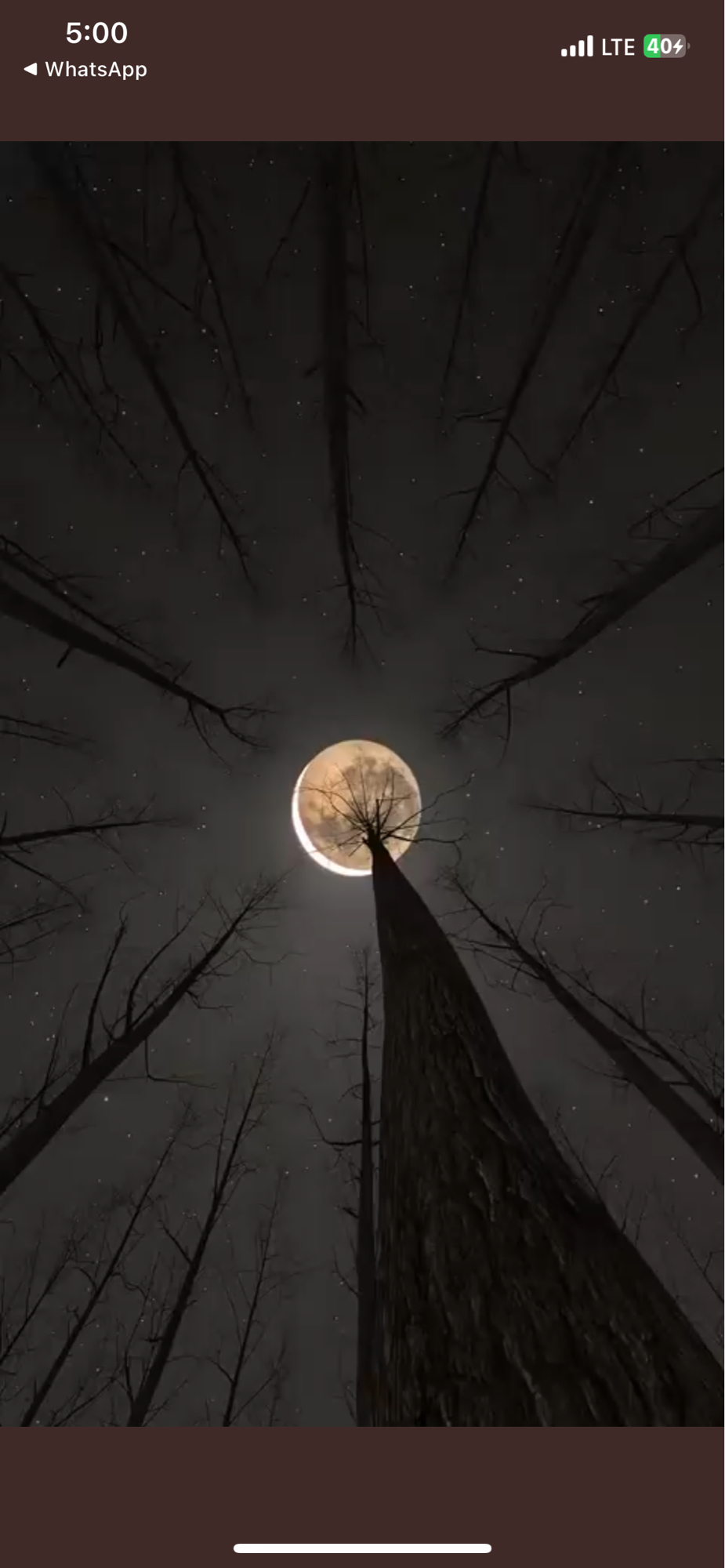 Kiratech (kiratech) Farcaster social identity (Fname handle) PFP