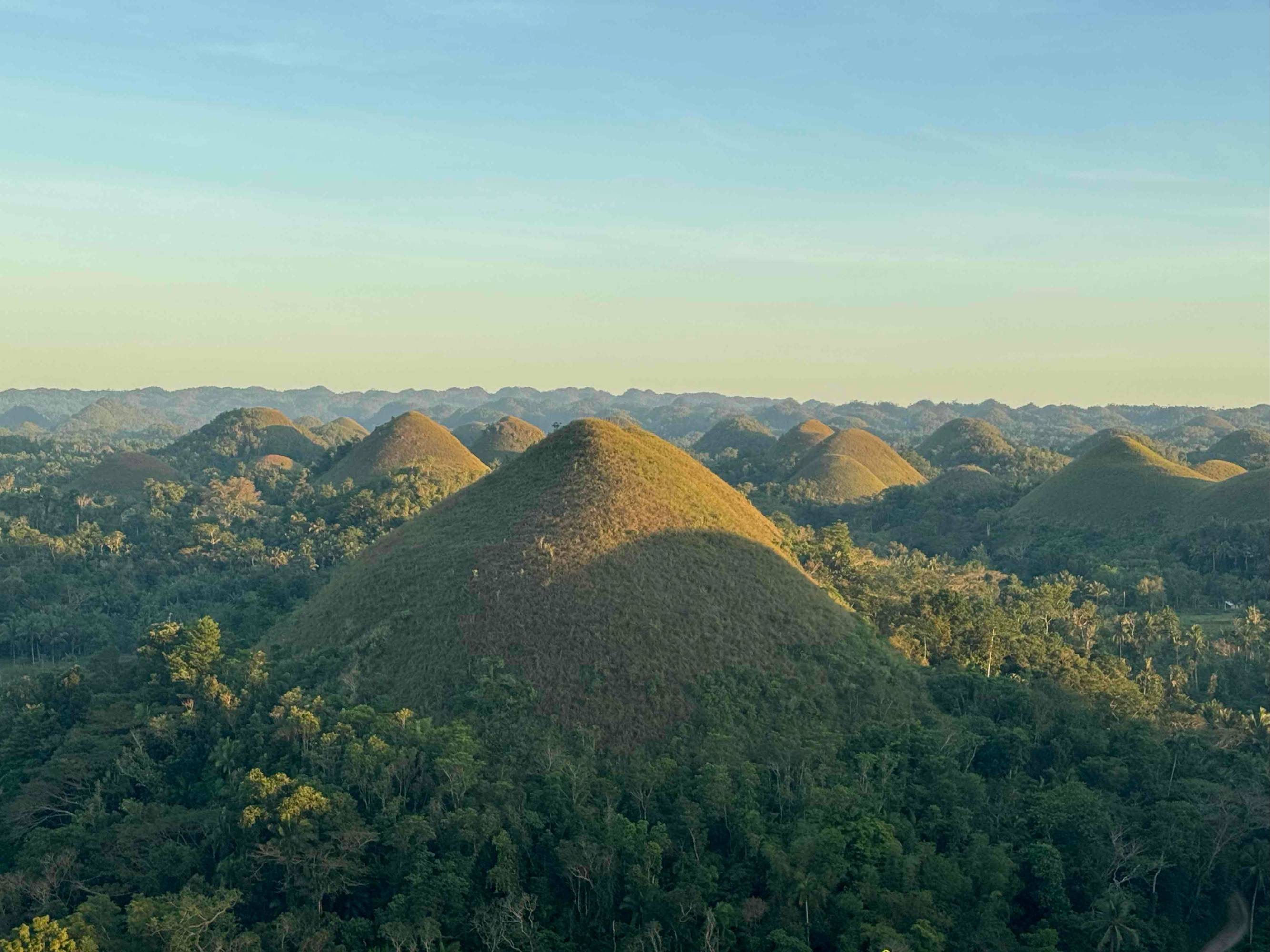 Alex1237 (alex1237) Farcaster social identity (Fname handle) PFP