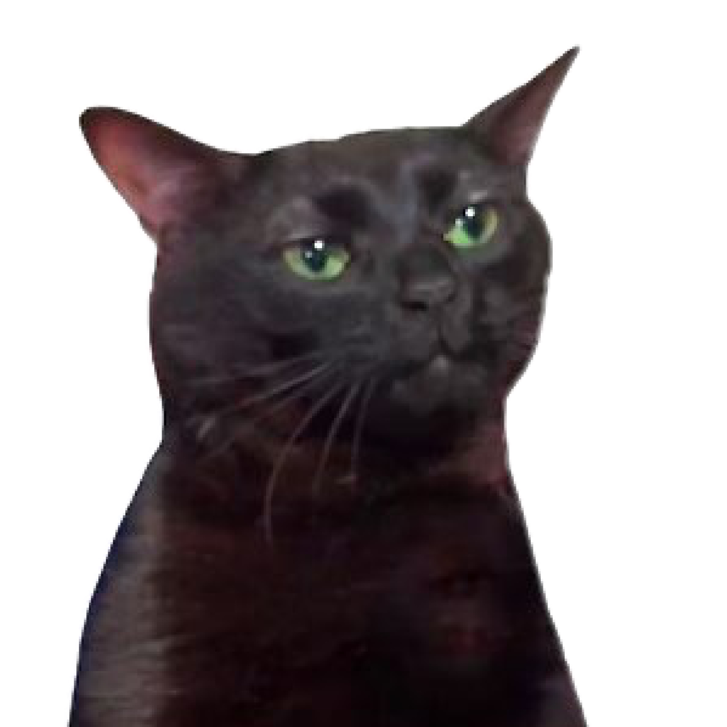 madchops Farcaster social identity (Fname handle) PFP