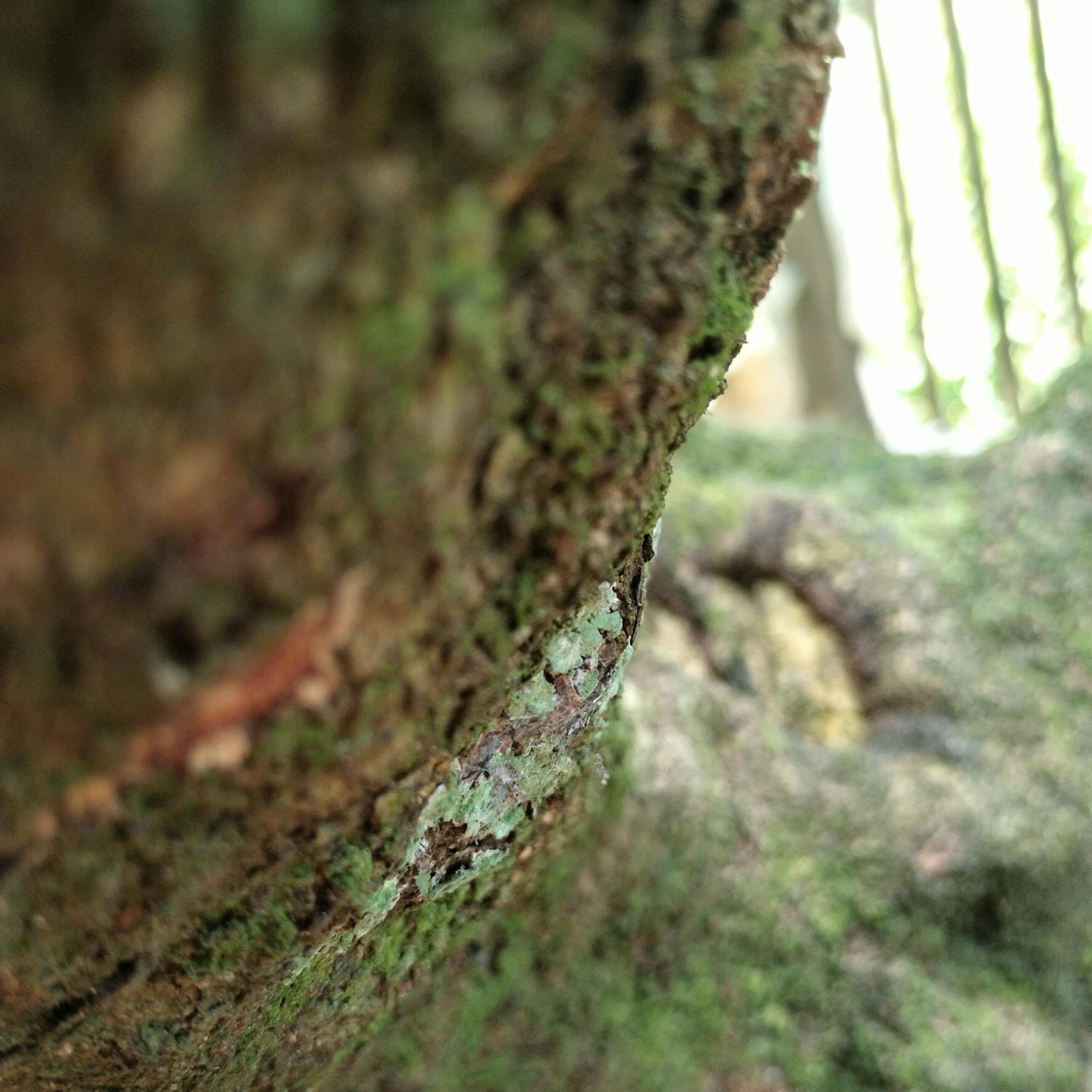 2tak Farcaster social identity (Fname handle) PFP