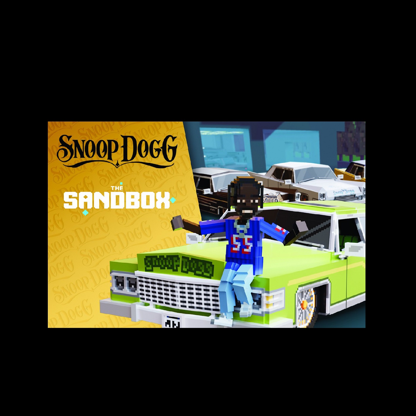 snoopverse.eth Ethereum Name Service (ENS and .eth domain) PFP