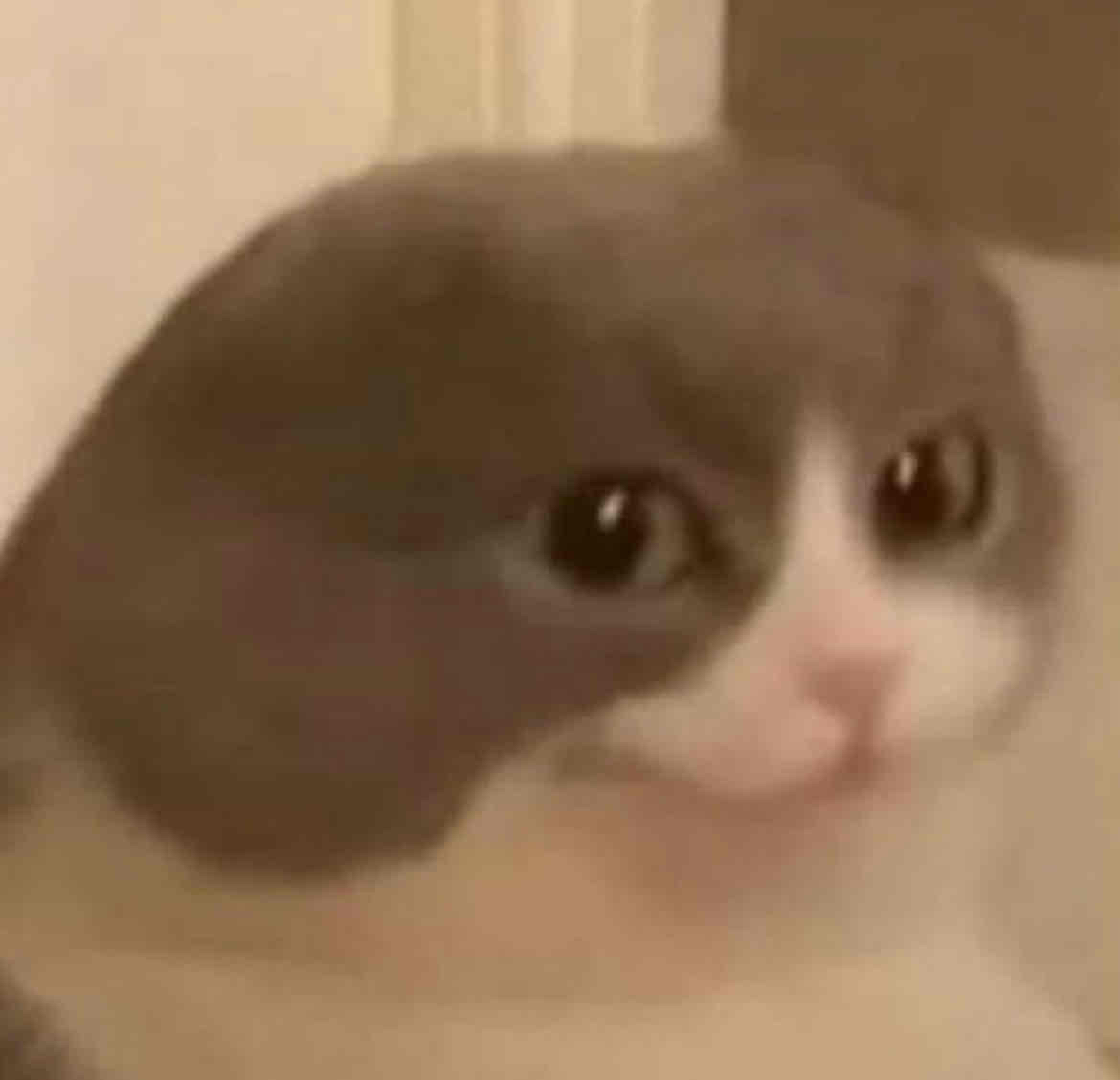 Jacob Pace (jacobpace) Farcaster social identity (Fname handle) PFP