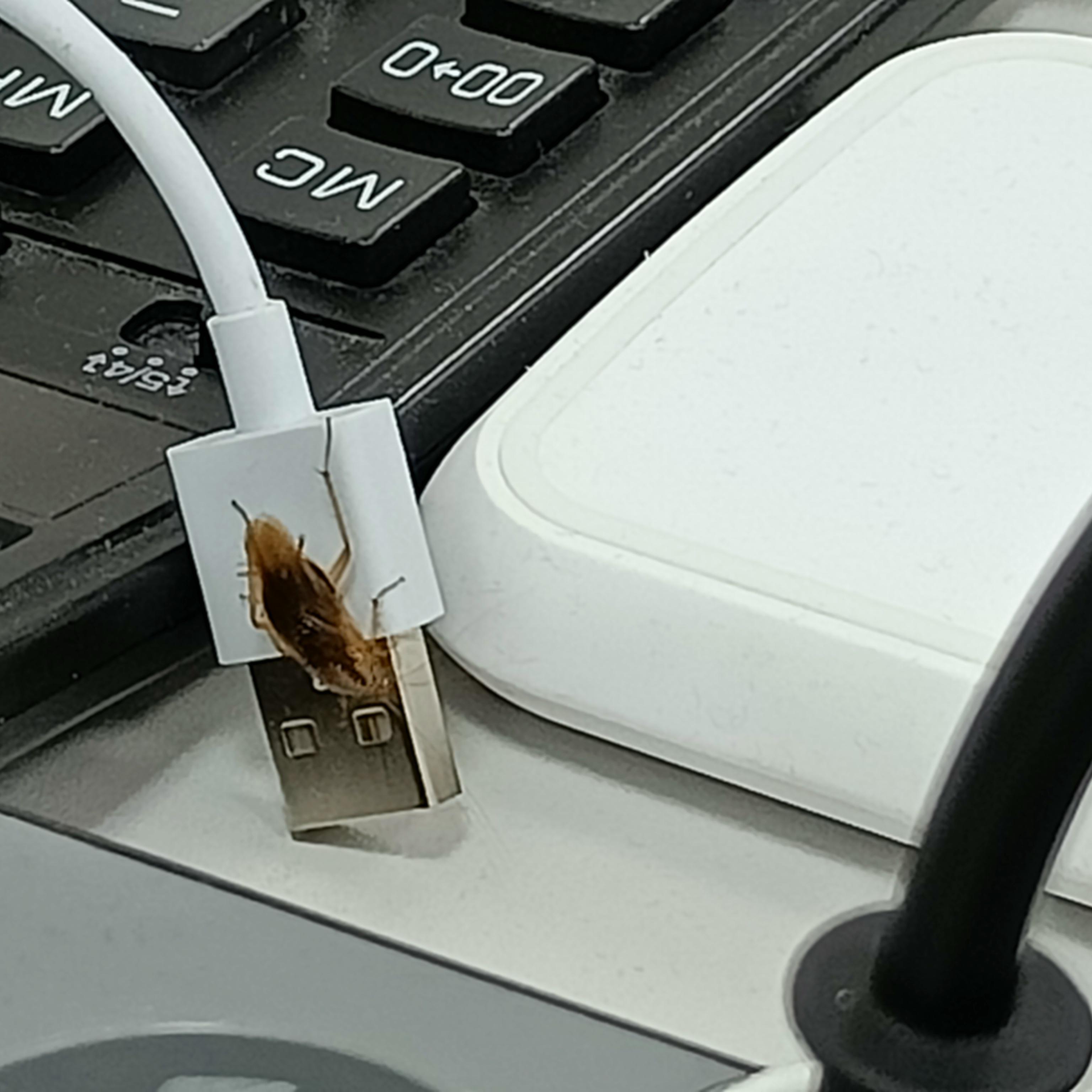 llinx (lllnx) Farcaster social identity (Fname handle) PFP