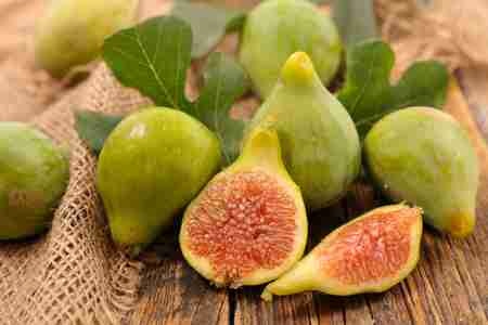 Mokro (mokro) Farcaster social identity (Fname handle) PFP