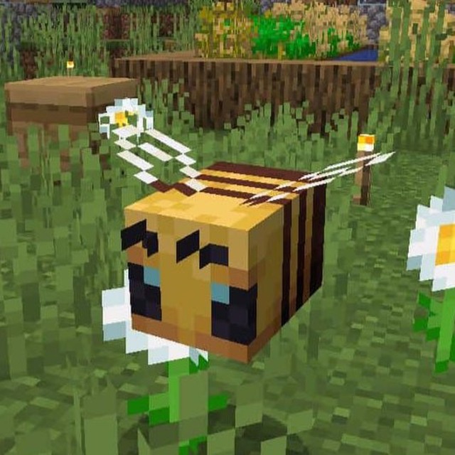 AlezziNapaccito (alezzi1) Farcaster social identity (Fname handle) PFP