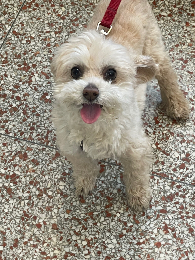 Chris (dro) Farcaster social identity (Fname handle) PFP