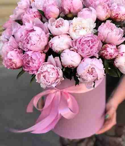 Ghhj (sdcg) Farcaster social identity (Fname handle) PFP