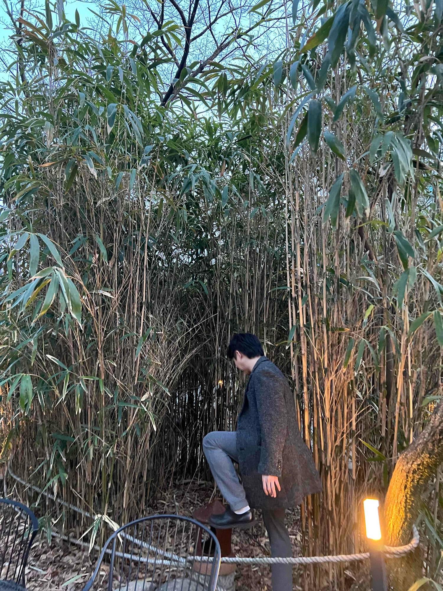 June (consider) Farcaster social identity (Fname handle) PFP