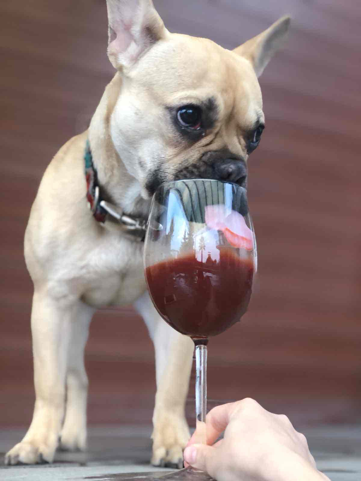 blockmole Farcaster social identity (Fname handle) PFP