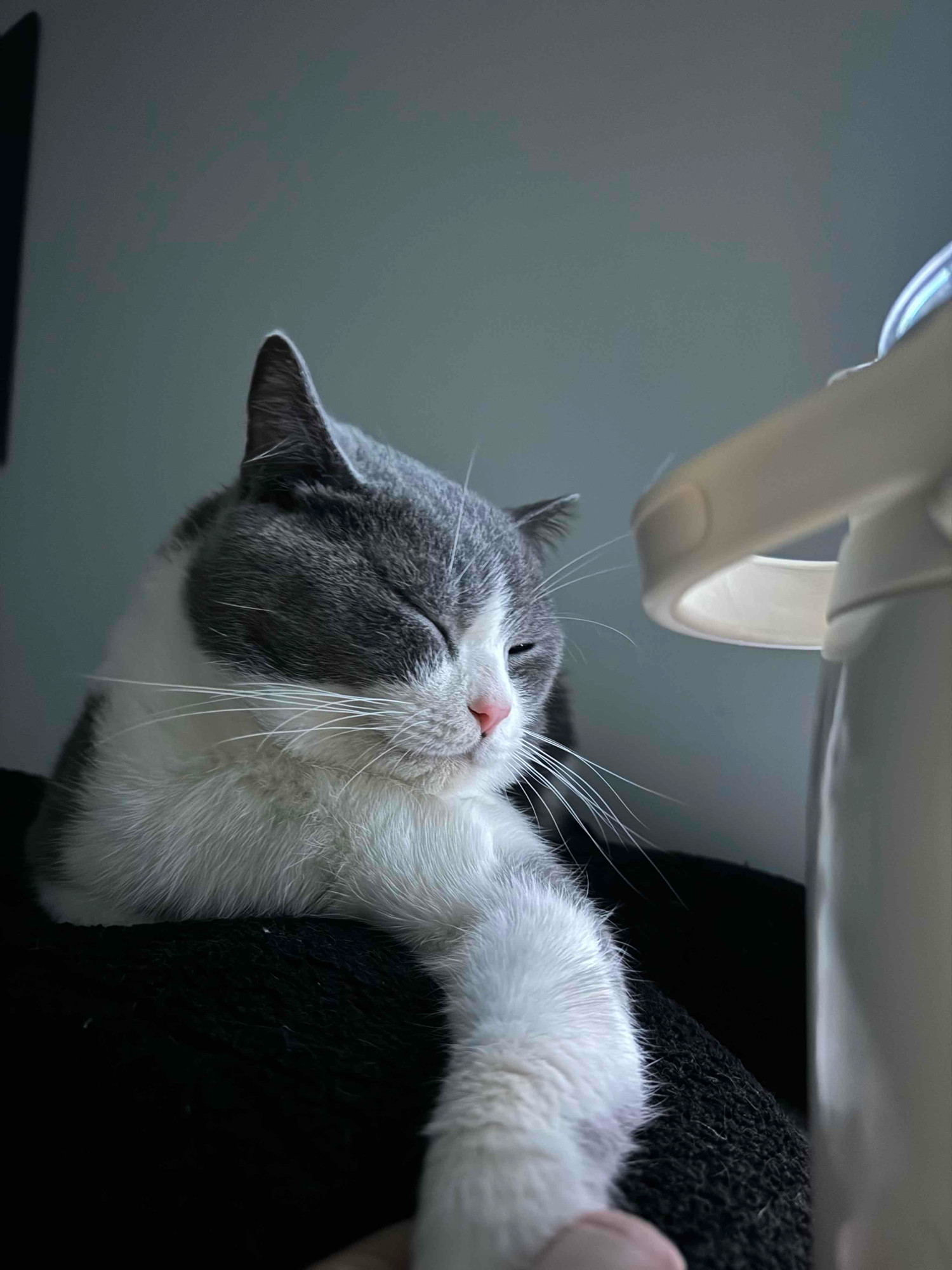 ppks Farcaster social identity (Fname handle) PFP