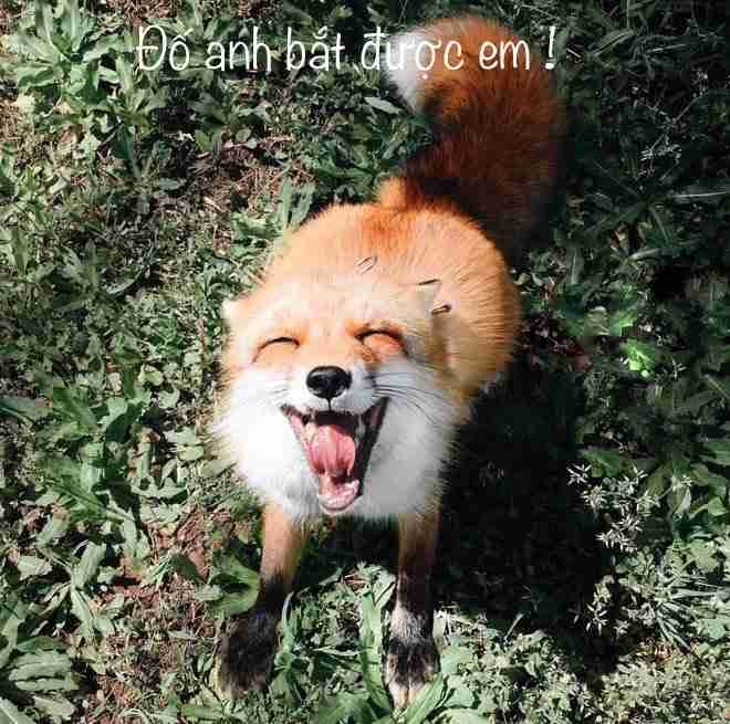 Bala (bala) Farcaster social identity (Fname handle) PFP