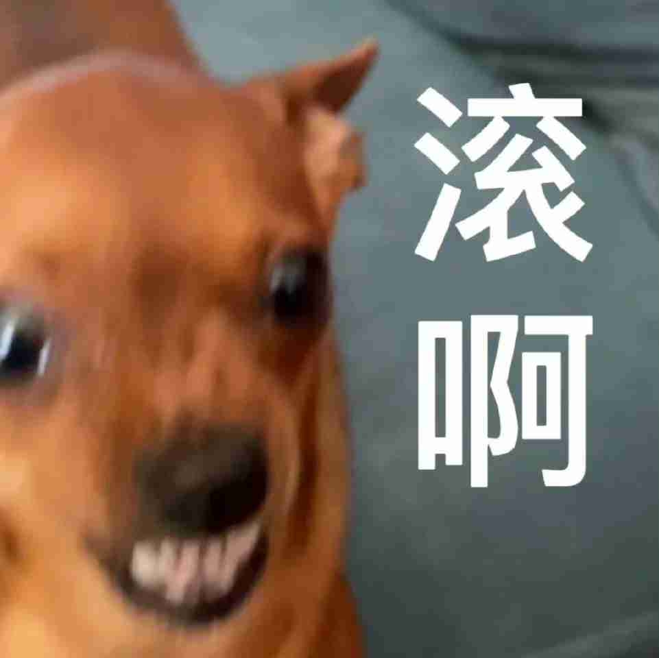 crazydog (web15) Farcaster social identity (Fname handle) PFP