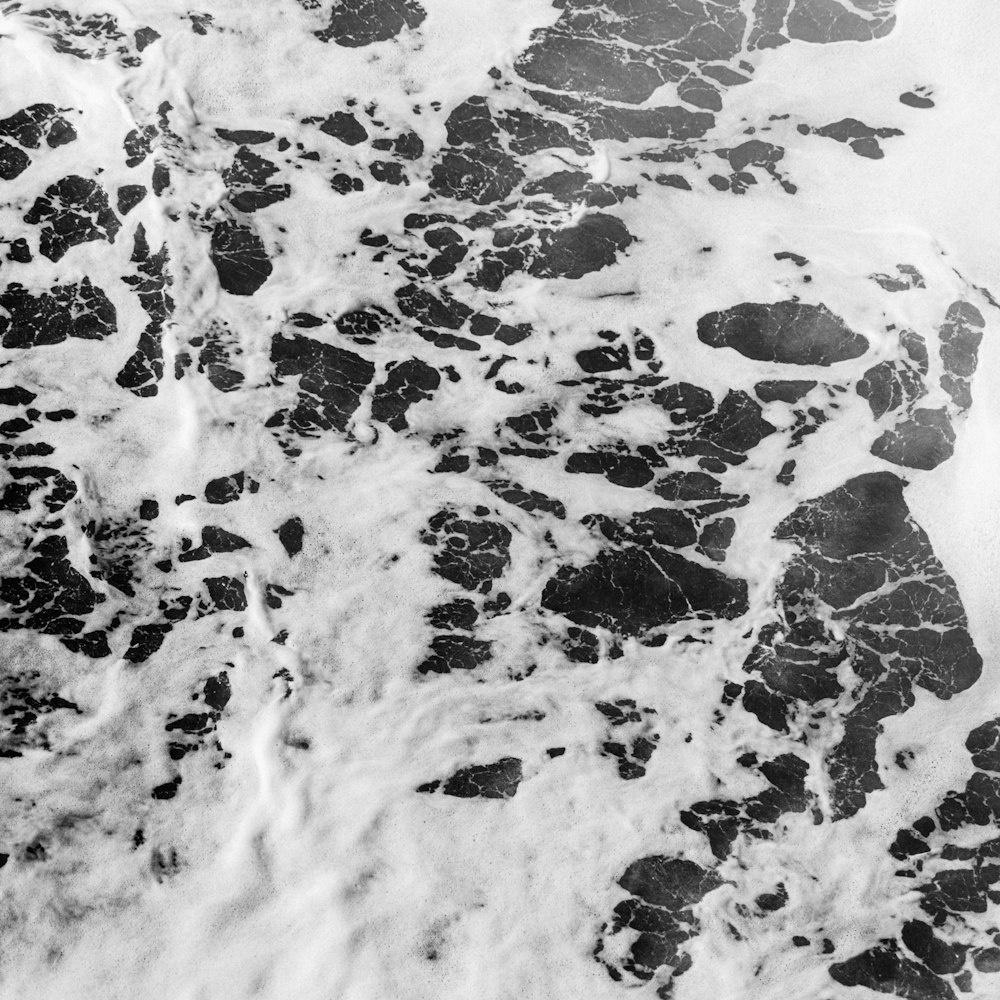 Ernest Davis (ernestdavis) Farcaster social identity (Fname handle) PFP