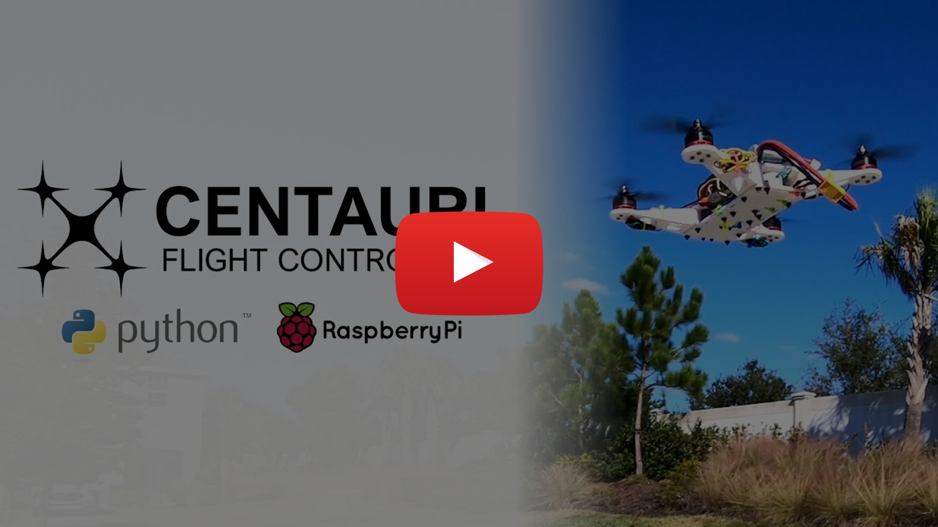 demo video