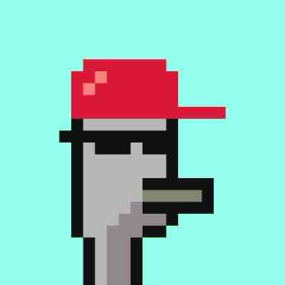 Koalaris's Farcaster avatar