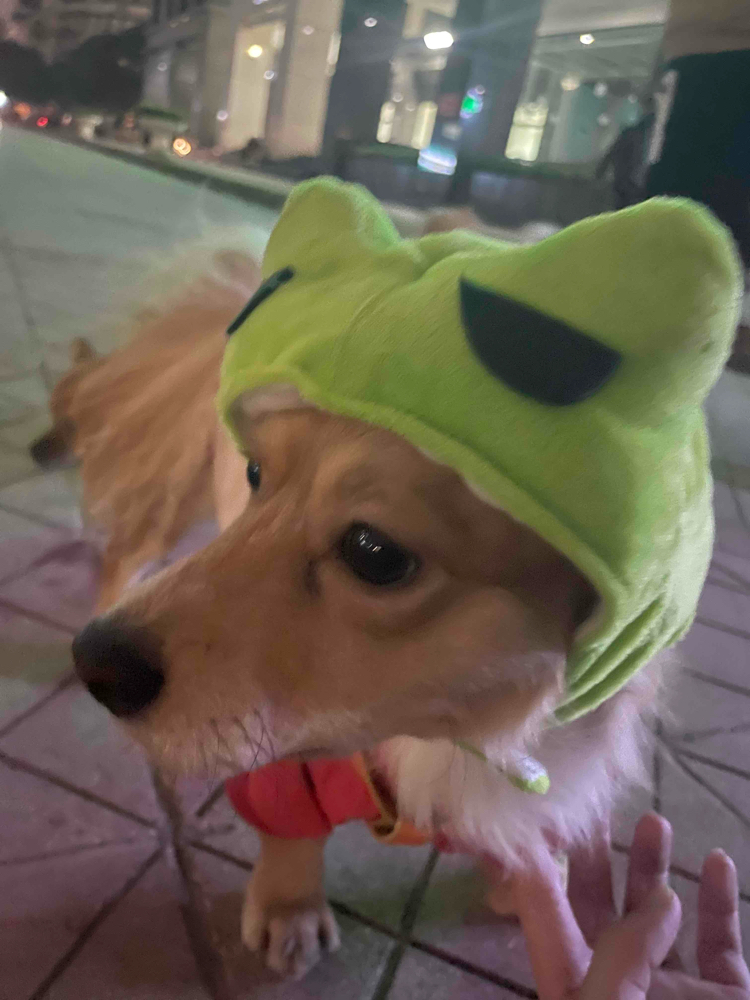 TB (tb98) Farcaster social identity (Fname handle) PFP