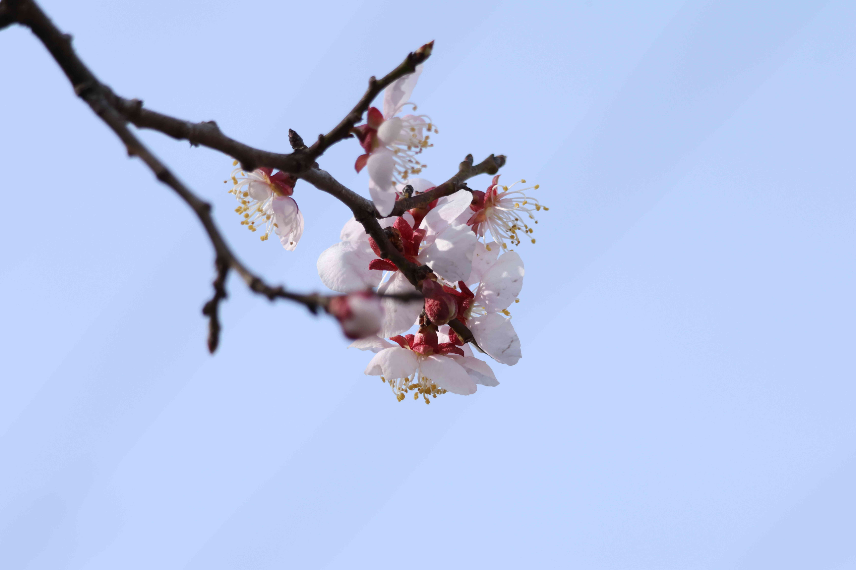 Nature On Earth ๐ฉ (jsu) Farcaster social identity (Fname handle) PFP