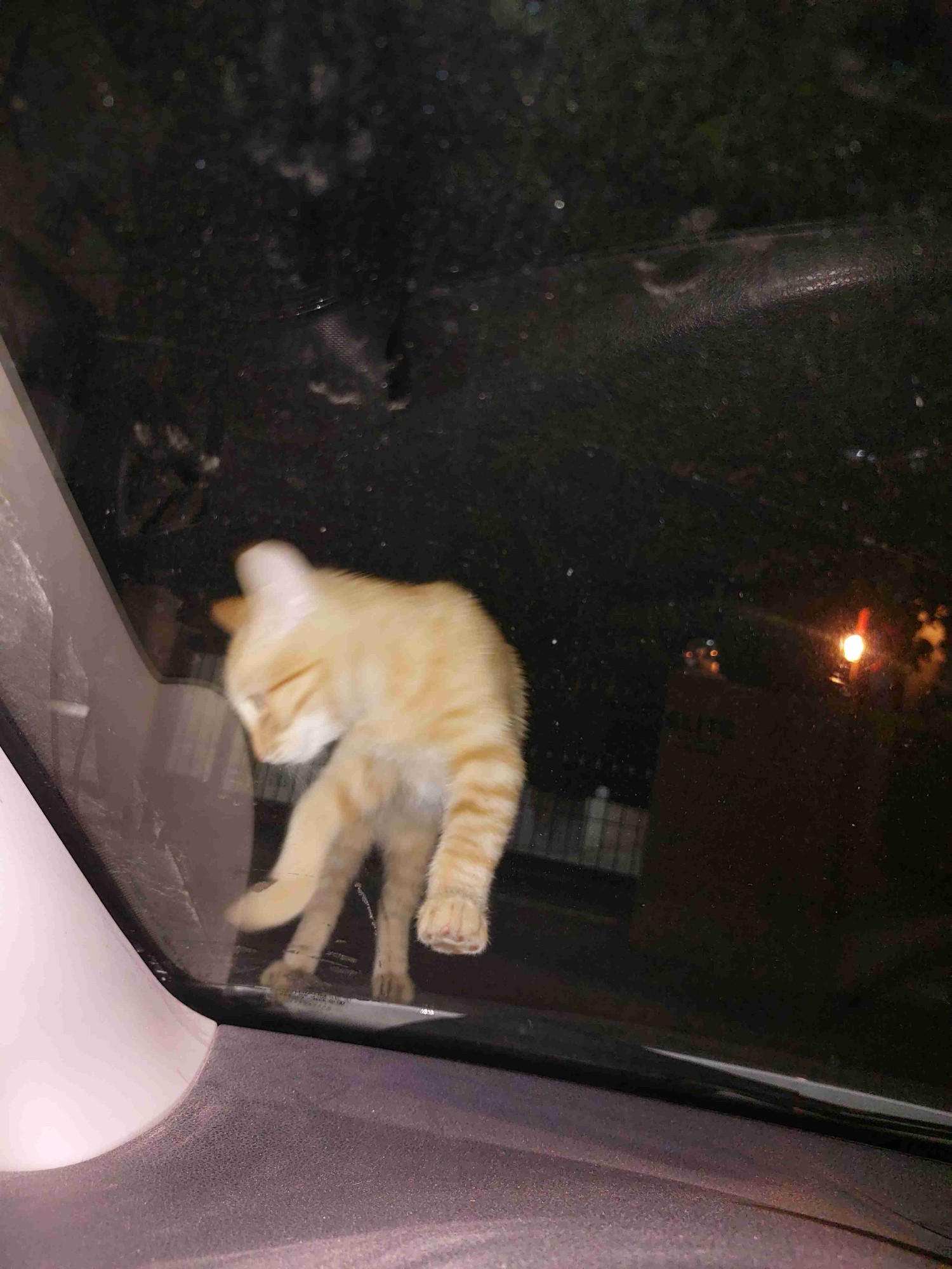 tower.lens Lens social identity (.lens handle) PFP