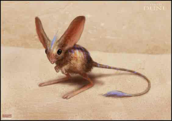 Muad’dib (muaddib) Farcaster social identity (Fname handle) PFP