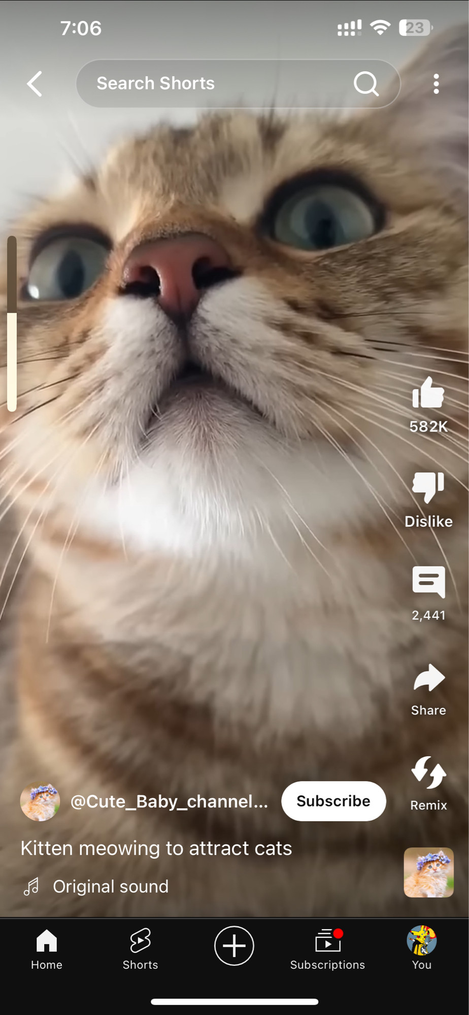 Captainteemo (capcaptainteemo) Farcaster social identity (Fname handle) PFP