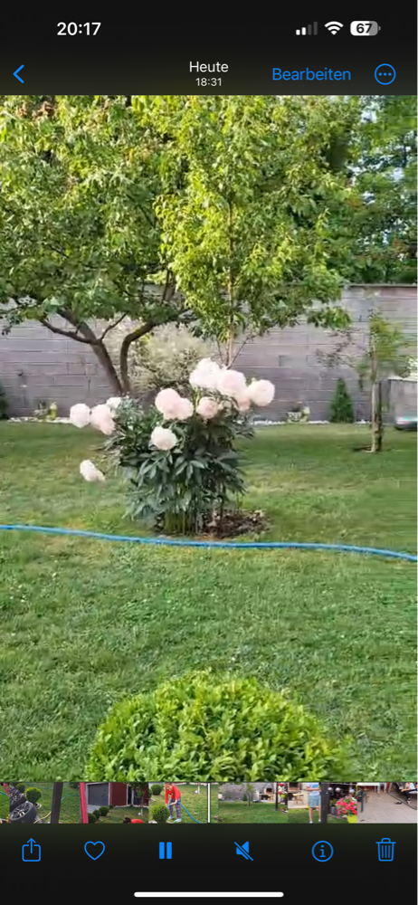 Salih (salih) Farcaster social identity (Fname handle) PFP