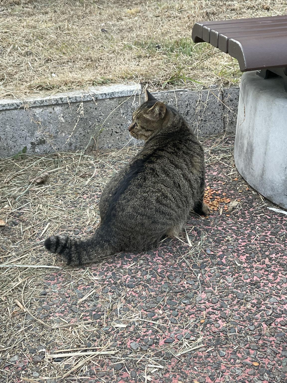 vulcano (vulcano44) Farcaster social identity (Fname handle) PFP