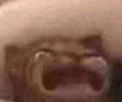 Bc (bernard) Farcaster social identity (Fname handle) PFP