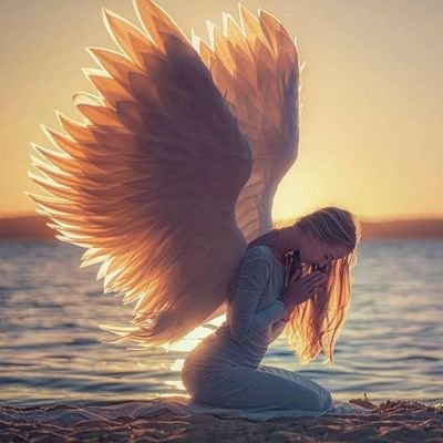 caro1205 (stiff22) Farcaster social identity (Fname handle) PFP