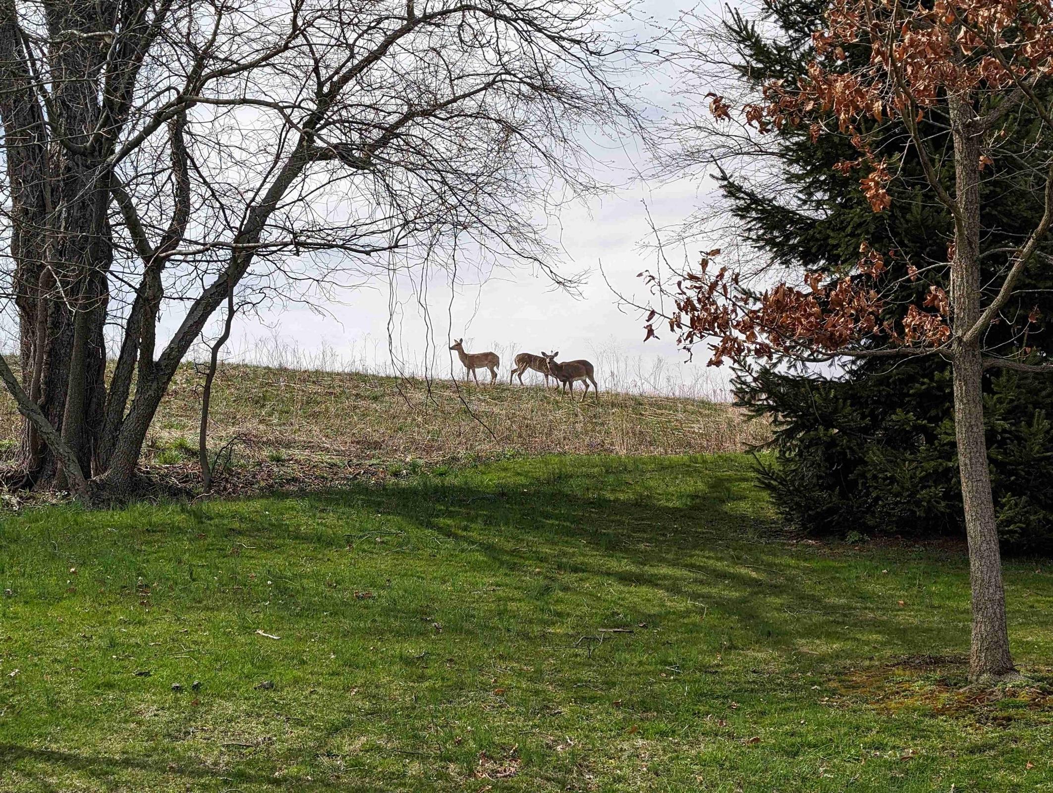 Gchez (gchez) Farcaster social identity (Fname handle) PFP