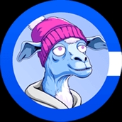 basedcamp. (basedcamp) Farcaster social identity (Fname handle) PFP