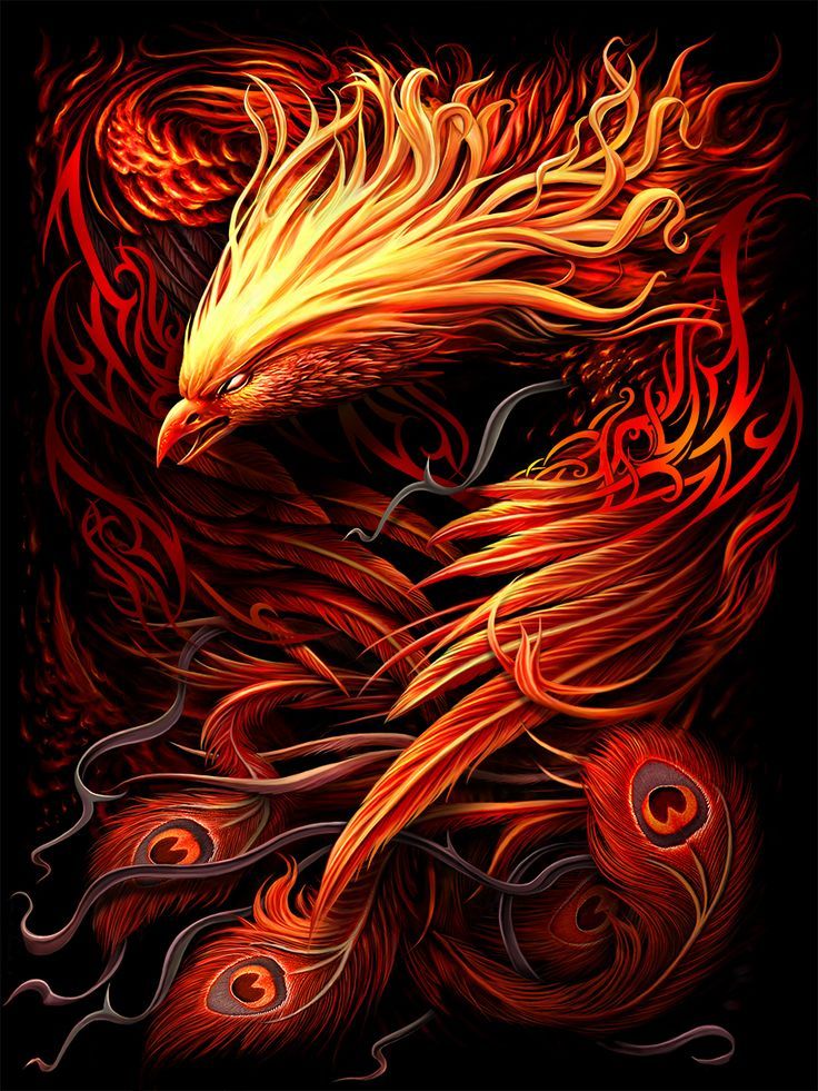 PhoeniX (phoenixx) Farcaster social identity (Fname handle) PFP