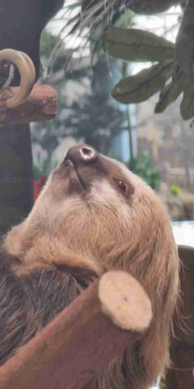 Cryptorover🎩 (cryptorover) Farcaster social identity (Fname handle) PFP