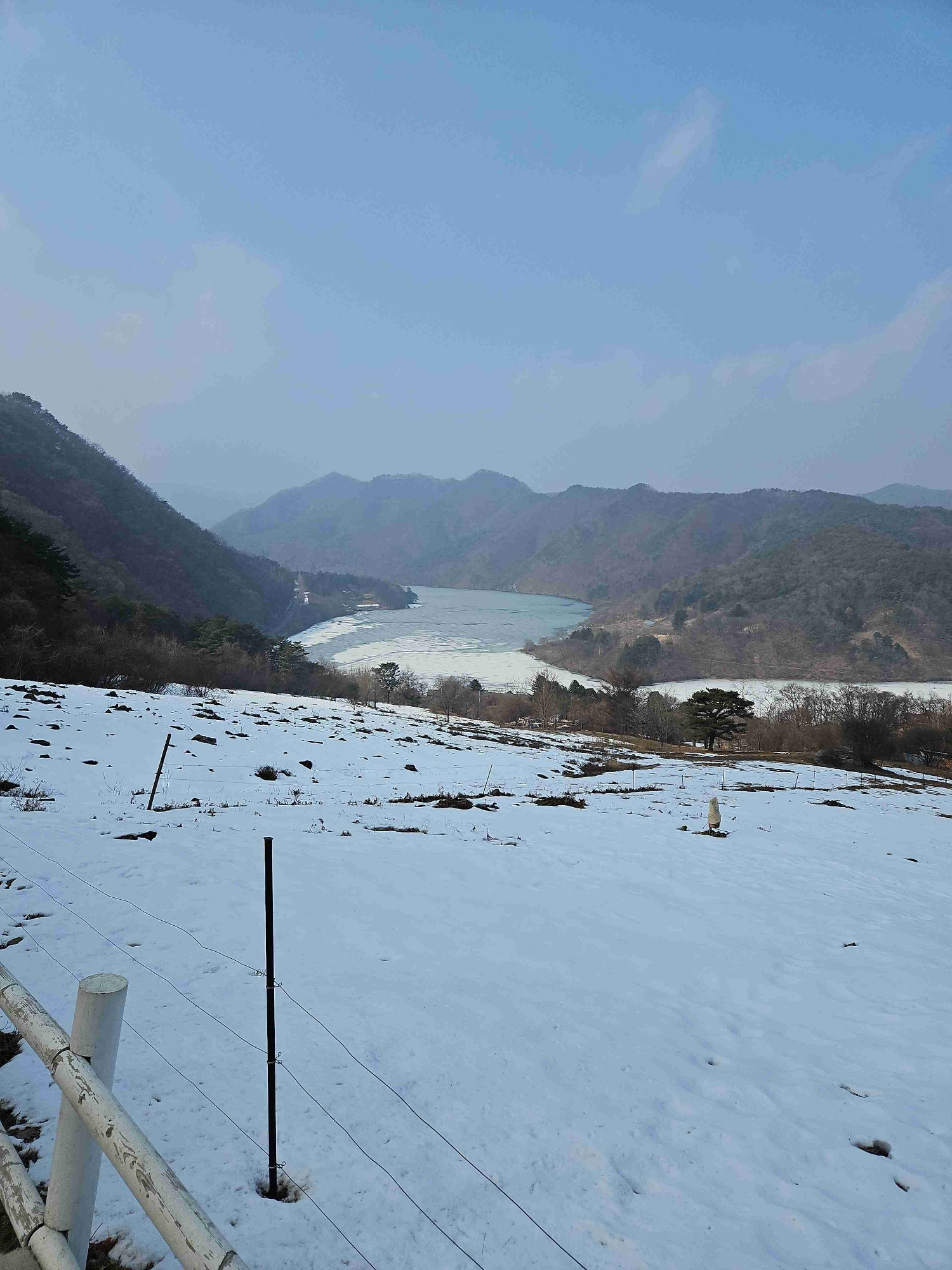 Cococow (cococow) Farcaster social identity (Fname handle) PFP