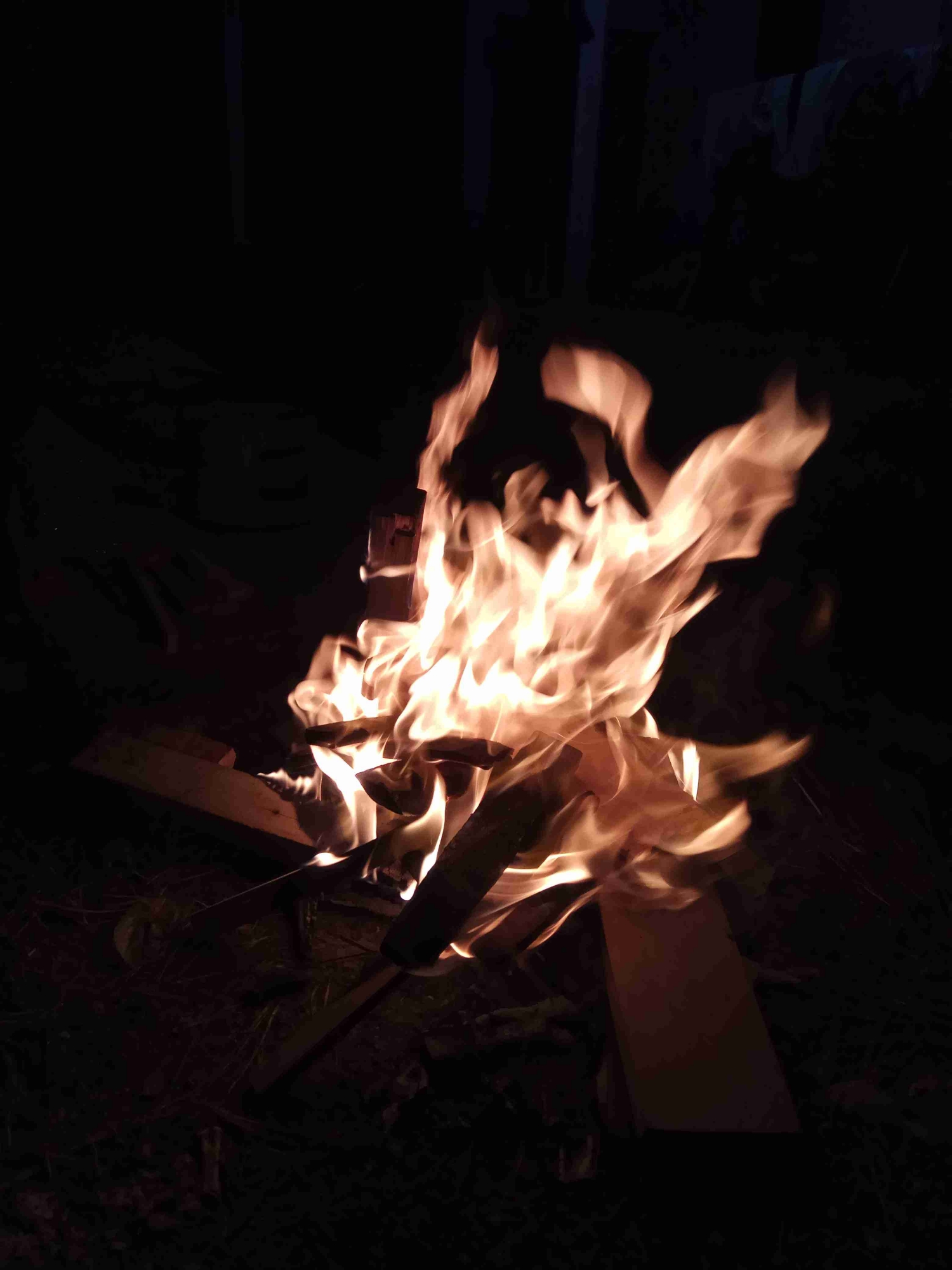 Zhy (zhy) Farcaster social identity (Fname handle) PFP