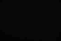 Efe (boxyk.eth) Ethereum Name Service (ENS and .eth domain) PFP