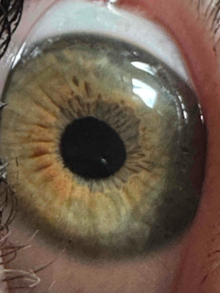 Amadeus (amade) Farcaster social identity (Fname handle) PFP