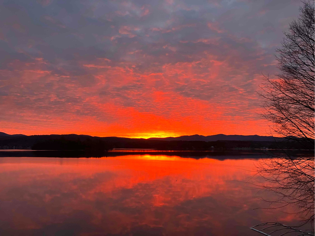 Conductor (conductor) Farcaster social identity (Fname handle) PFP