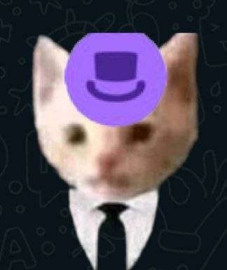 cosmothecat.base.eth (forestgump) Farcaster social identity (Fname handle) PFP